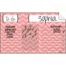 Chore Chart Decal Chevron Pink